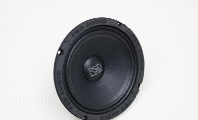 FSD audio Master 165 N