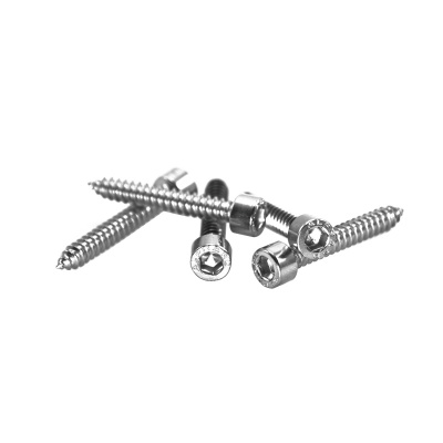 Саморезы из нержавеющей стали для динамика HEX SCREW